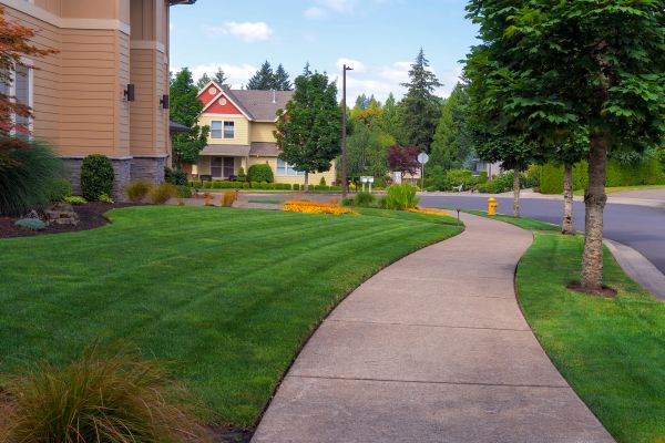 Sidewalk Patching in Plainfield