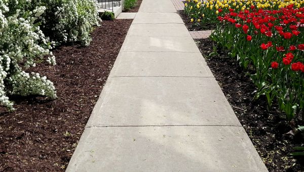 Concrete Pathway Repair in Plainfield