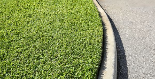 Driveway Curb Repair in Plainfield